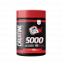 Creatine Monohydrate American wolf 500g