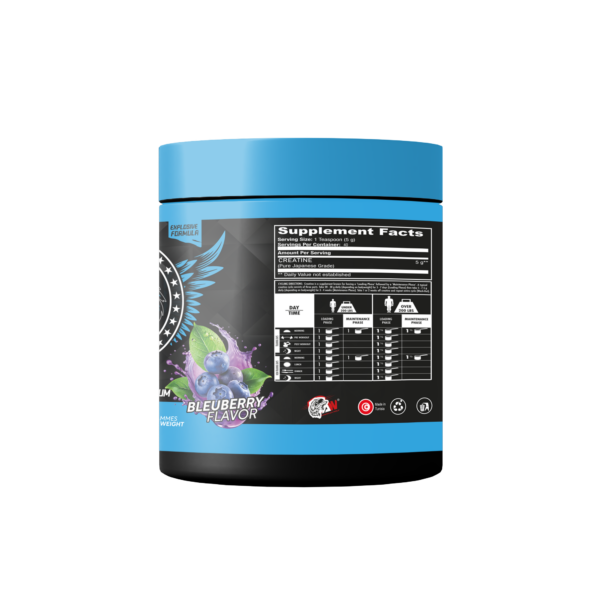 Creatine Hydra System | 300g american wolf prix tunisie